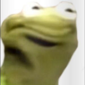 Meet your Posher, Noah